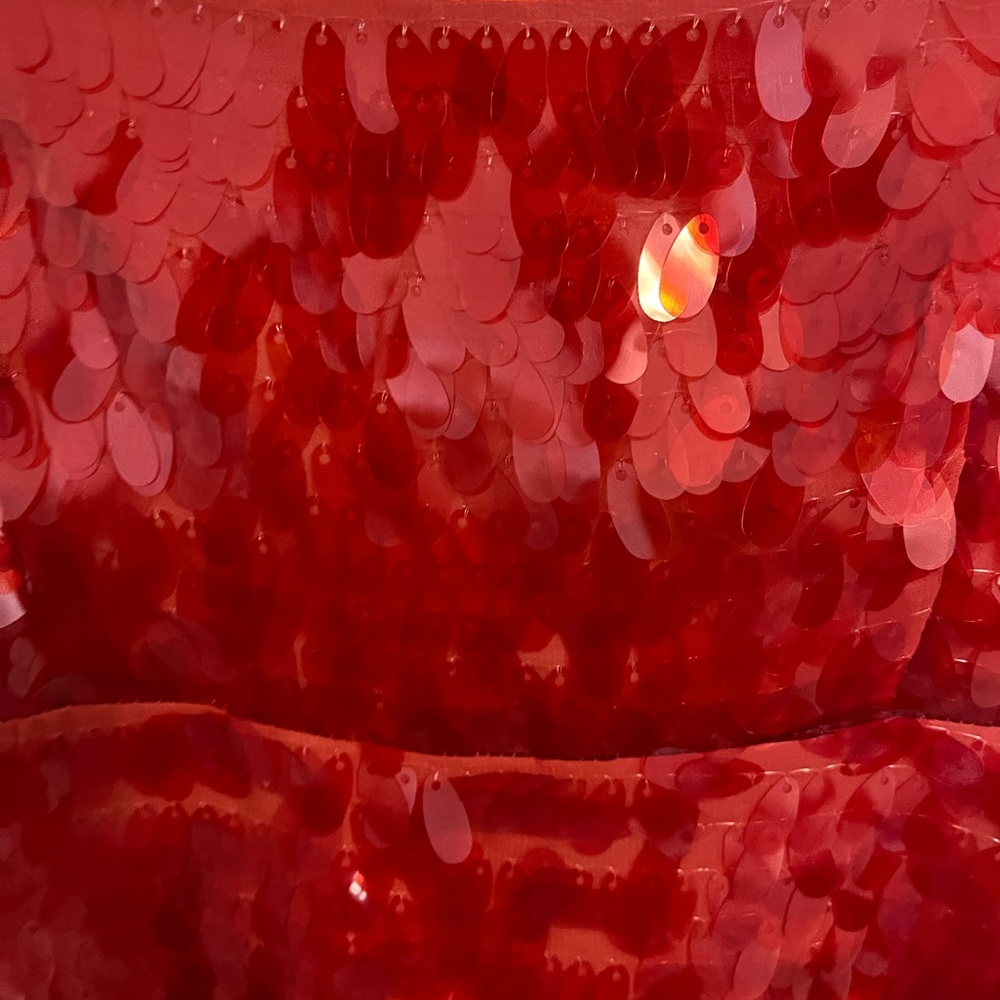 Red sequin Zara dress